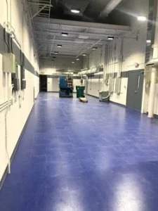 Taking a global lead  ACE Products & Consulting