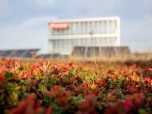 Fronius Again Awarded Gold In Ecovadis Rating